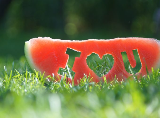 Stock Images love image, watermelon, grass, 4k, Stock Images 9358313857